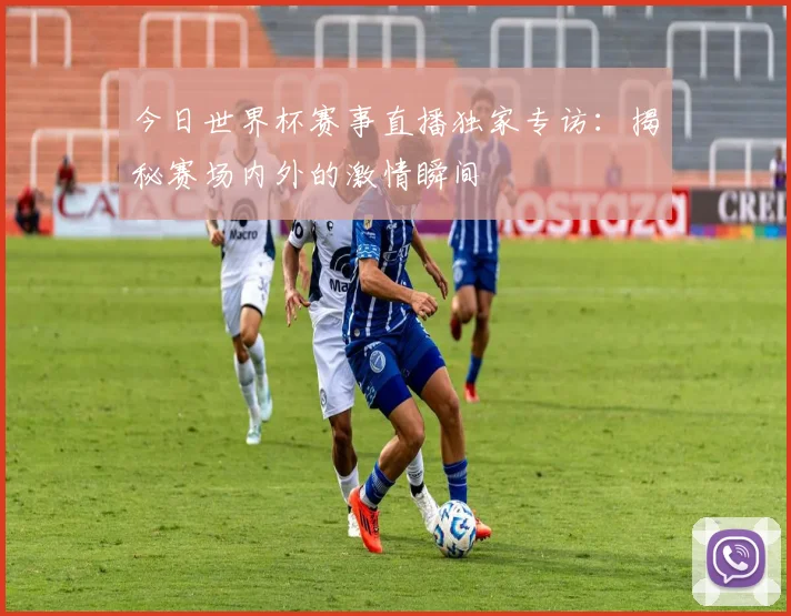 今日世界杯赛事直播独家专访：揭秘赛场内外的激情瞬间
